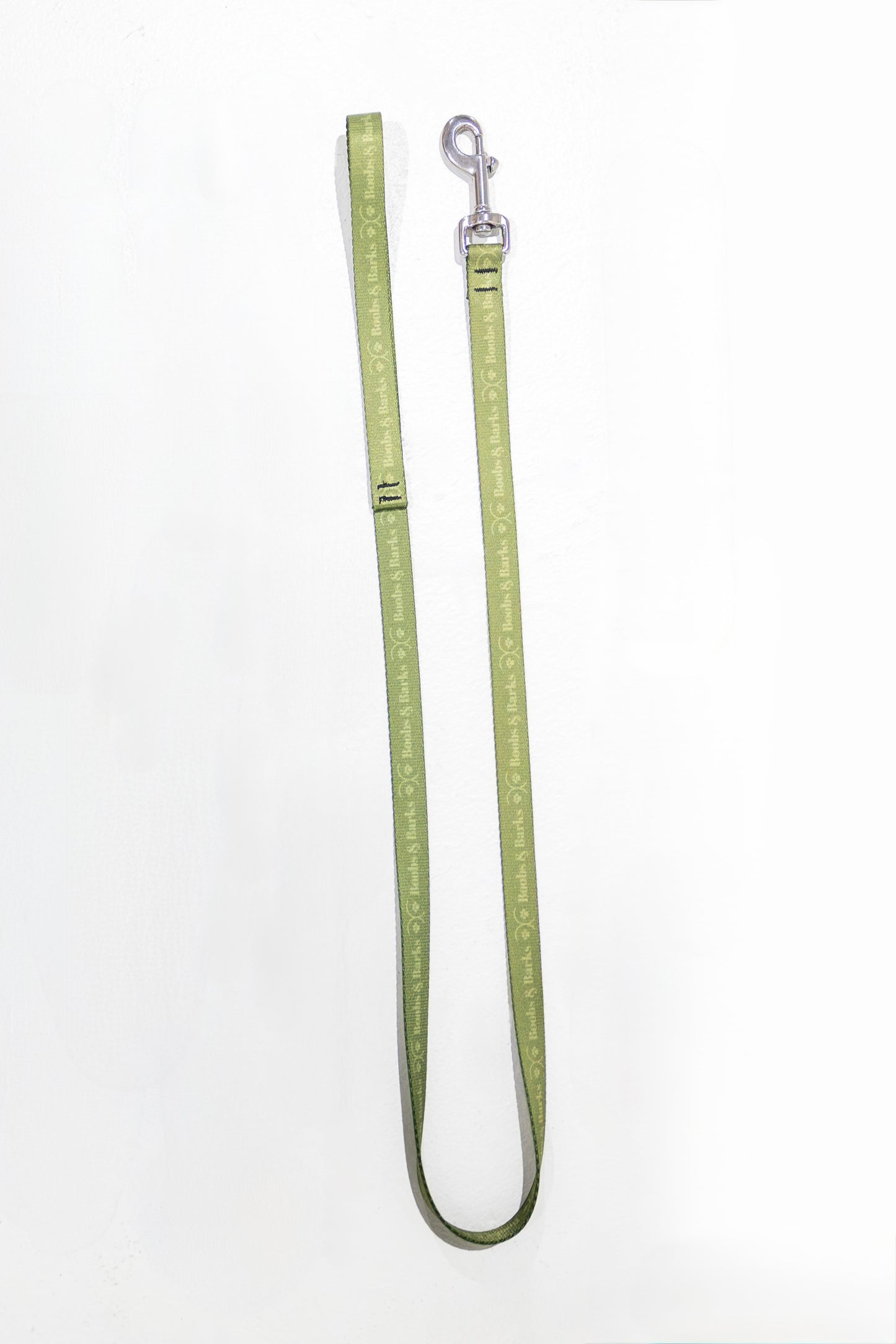 Dog Essentials Kit — Forest Green