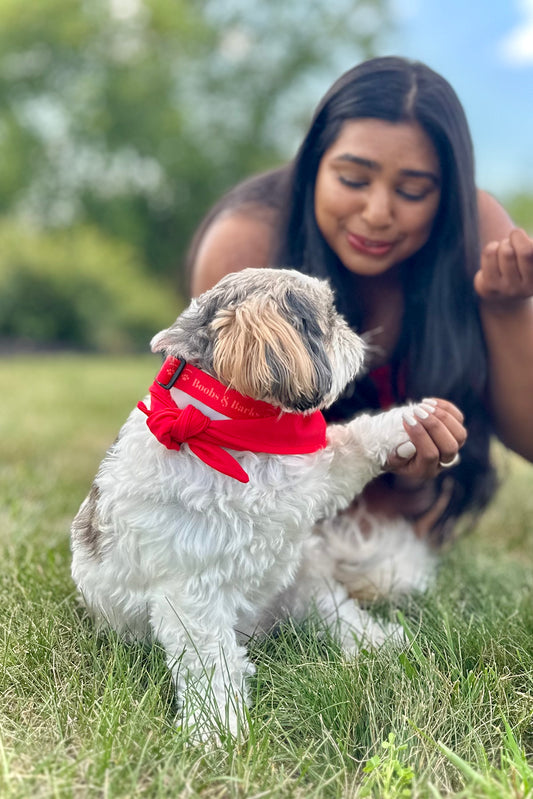 Adjustable B&B Dog Collar — Scarlet Red