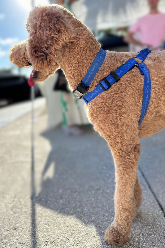 Adjustable B&B Dog Harness — Royal Blue