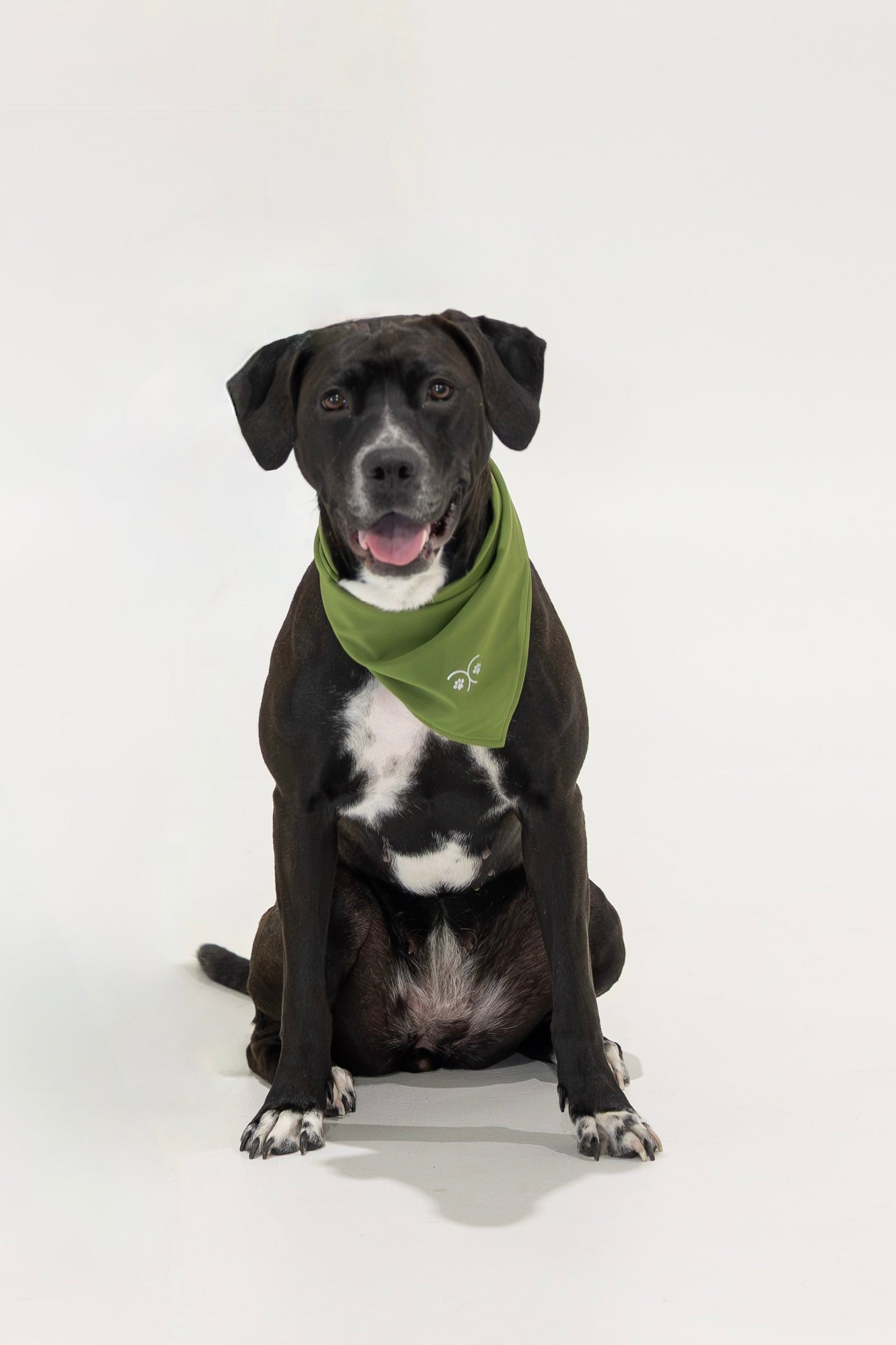 Durable Dog Bandana — Forest Green