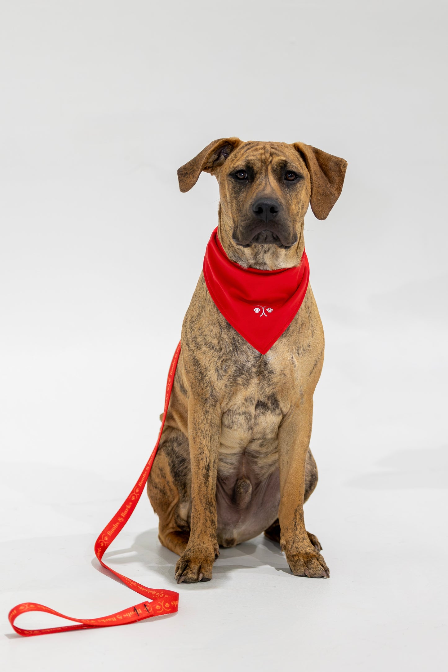 Durable Dog Bandana — Scarlet Red