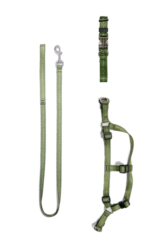 Dog Essentials Kit — Forest Green