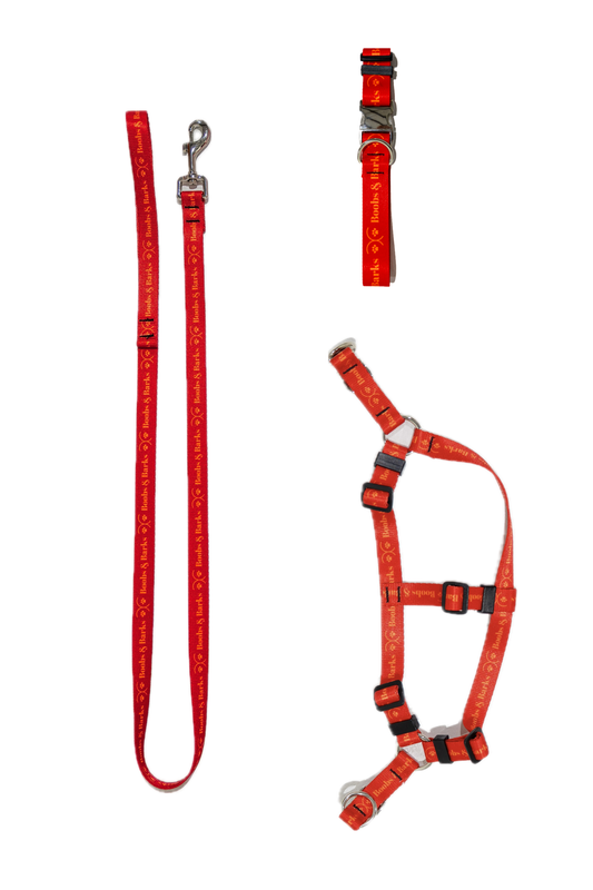 Dog Essentials Kit — Scarlet Red