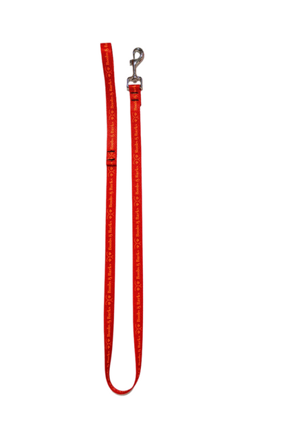Dog Essentials Kit — Scarlet Red