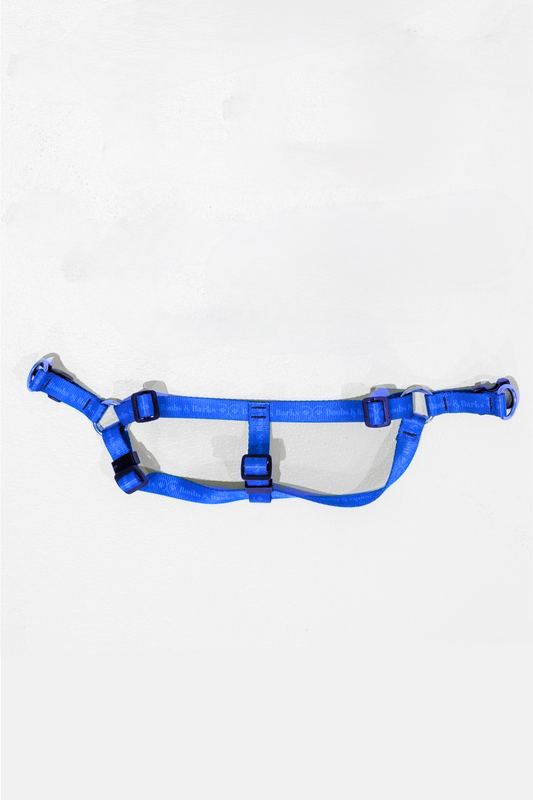 Adjustable B&B Dog Harness — Royal Blue