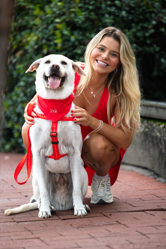 Build Your Own Bundle — Scarlet Red