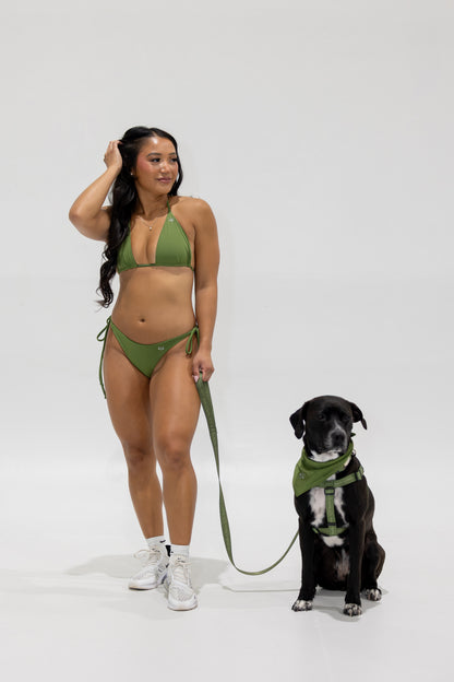 Classic 4ft B&B Dog Leash — Forest Green