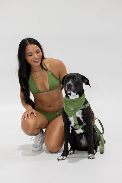 Adjustable B&B Dog Harness — Forest Green