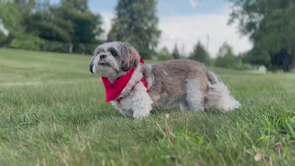 Durable Dog Bandana — Scarlet Red
