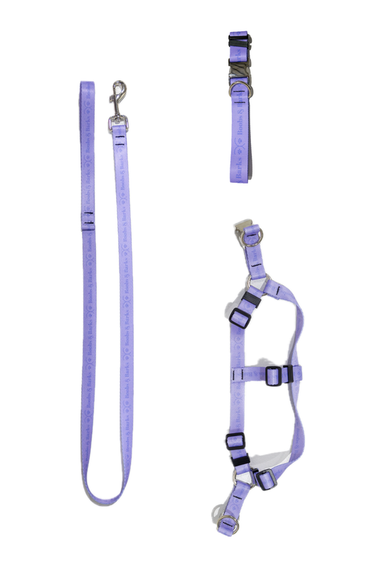 Dog Essentials Kit — Lavender Purple